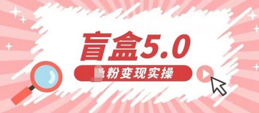 盲盒交友5.0男粉变现实操项目，亲测效果极佳-无双副业