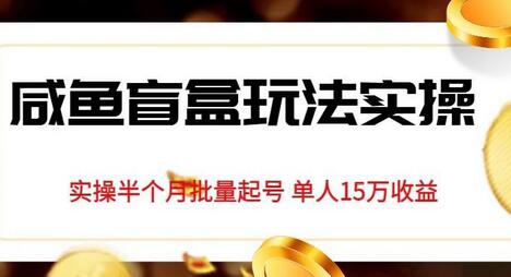 咸鱼盲盒玩法实操，单人15万收益实战指南-无双副业