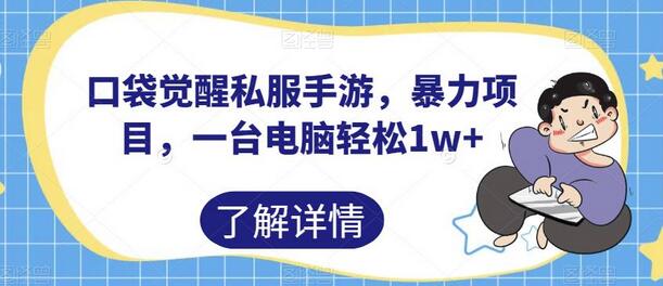 口袋觉醒私服手游项目，一台电脑轻松月入过万-无双副业