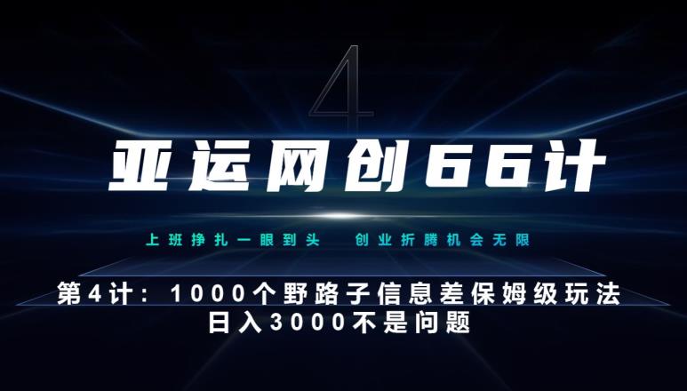 1000个野路子信息差玩法，日入3000轻松实现-无双副业