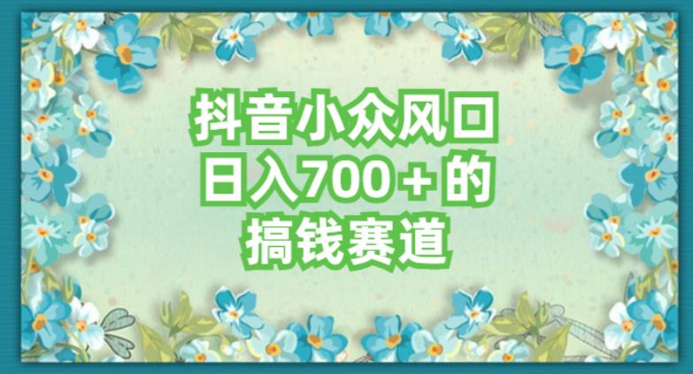 抖音小众赛道长期可做，简单易复制-无双副业