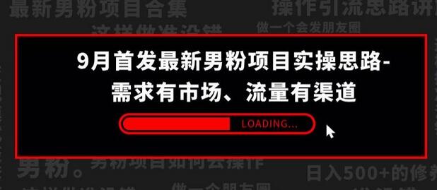 9月最新男粉项目实操思路：市场需求与流量渠道分析-无双副业