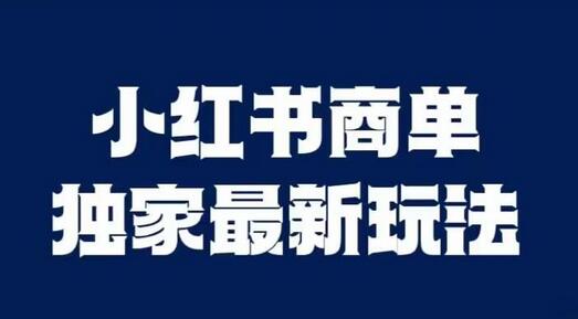 小红书商单独家玩法，快速涨粉变现，适合批量操作-无双副业