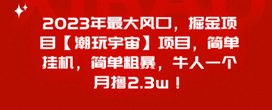 2023年最大风口潮玩宇宙掘金项目，简单挂机月入2.3w-无双副业