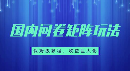 国内问卷矩阵玩法教程，轻松赚取收益-无双副业