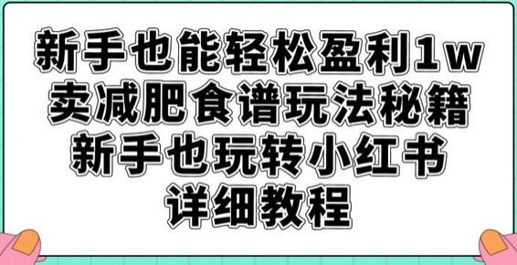 新手轻松盈利1w的减肥食谱秘籍与小红书运营教程-无双副业