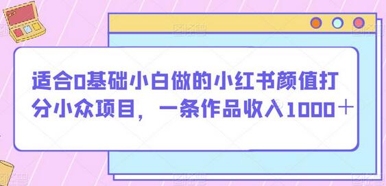 小红书颜值打分项目，0基础小白轻松赚1000+-无双副业