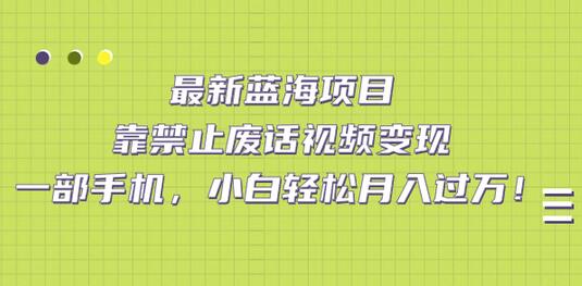 最新蓝海项目：禁止废话视频变现，小白轻松月入过万-无双副业