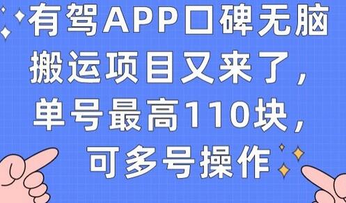 有驾APP口碑搬运项目，单号最高110元，支持多号操作-无双副业