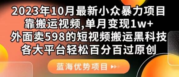 2023年最新小众暴力项目，搬运视频单月变现1w+-无双副业