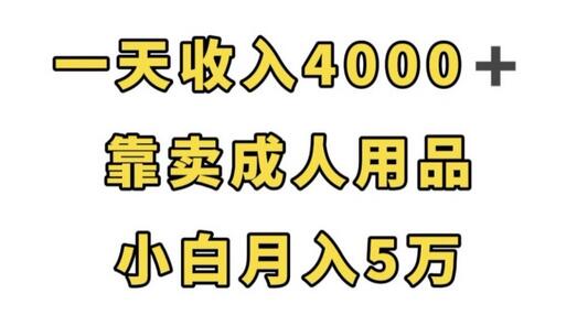 一天收入4000+，卖成人用品轻松月入5万-无双副业