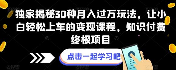 独家揭秘30种月入过万玩法，小白轻松上车的变现课程-无双副业