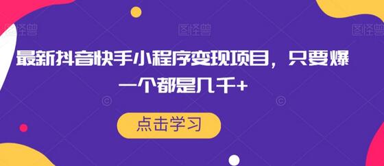 抖音快手小程序变现项目，爆款收益高达几千+-无双副业
