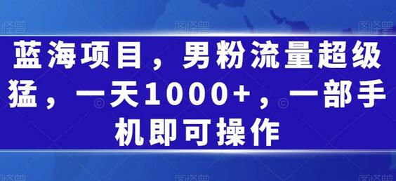 男粉引流蓝海项目，一部手机轻松月入过万-无双副业