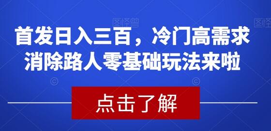 冷门高需求消除路人零基础玩法，日入三百轻松实现-无双副业