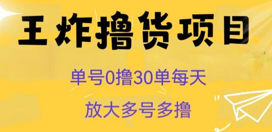 王炸撸货项目，单号0撸30单每天，多号多撸-无双副业