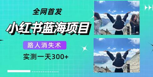 小红书蓝海项目：路人消失术，实测日赚300+（教程+工具）-无双副业