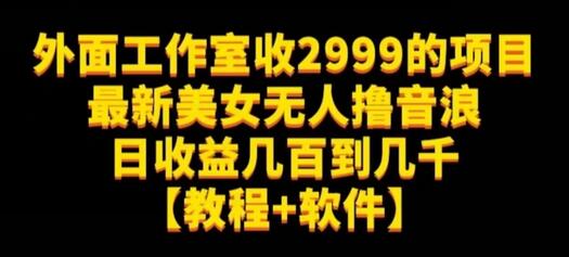 美女无人撸音浪项目日收益高达几千元-无双副业