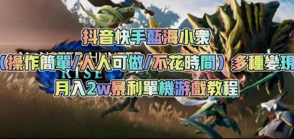 抖音快手蓝海小众暴利单机游戏教程，月入2w+操作简单-无双副业