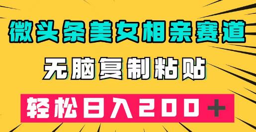 微头条美女相亲赛道，轻松日入200+-无双副业