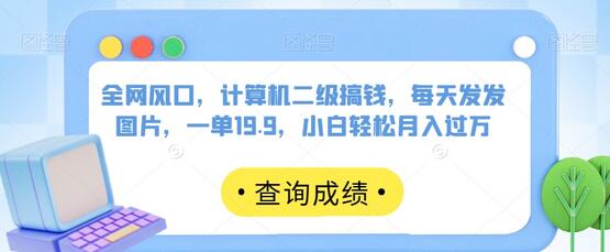 计算机二级考试赚钱项目，小白轻松月入过万-无双副业