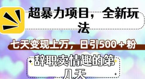 辞职卖情趣用品，七天变现上万，日引500+粉的全新玩法-无双副业
