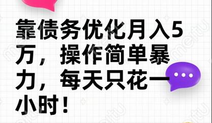 债务优化轻松月入五万，多种方式快速变现-无双副业