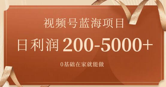 视频号蓝海项目，0基础在家日入200-5000+，附266G资料-无双副业