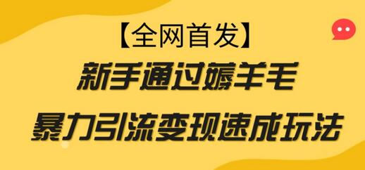 新手薅羊毛暴力引流变现速成玩法-无双副业