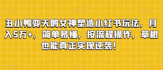 小红书女神养成玩法，月入5万+，草根逆袭指南-无双副业