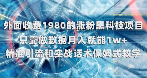 涨粉黑科技项目，月入1w+的数据包装技巧-无双副业