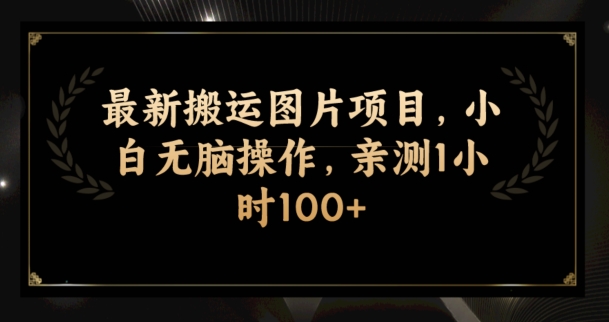 最新搬运图片项目，小白无脑操作，亲测1小时100+-无双副业