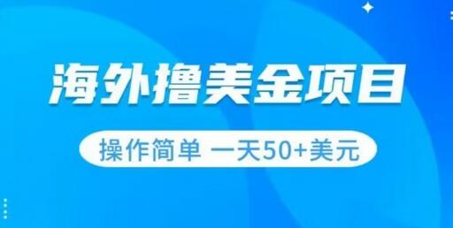 无门槛撸美金项目，小白轻松日赚50+美元-无双副业
