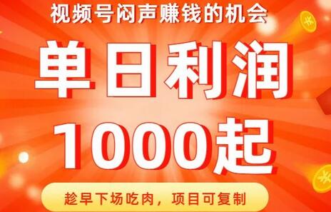 视频号赚钱机会揭秘，单日利润1000起，项目可复制-无双副业