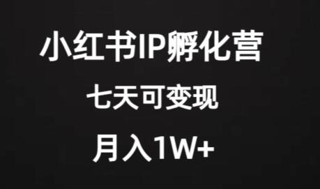 小红书IP孵化营项目，七天变现稳定月入1W+-无双副业