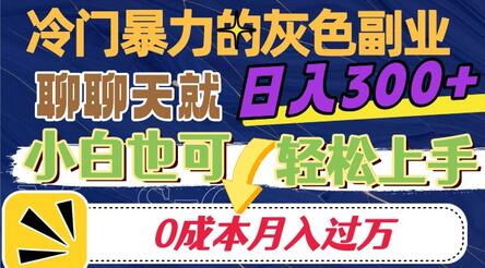 冷门暴利副业项目，聊天日入300+，0成本月入过万-无双副业