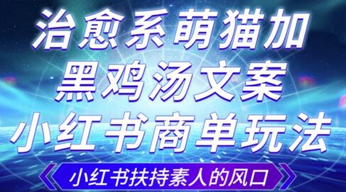 小红书治愈系萌猫与黑鸡汤文案商单玩法，快速涨粉变现-无双副业