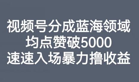 视频号分成蓝海领域，均点赞破5000，快速入场赚取高收益-无双副业