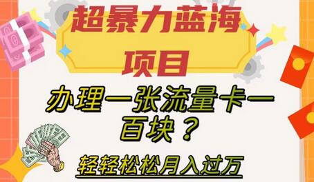 轻松月入过万的流量卡推广项目，保姆级教程-无双副业