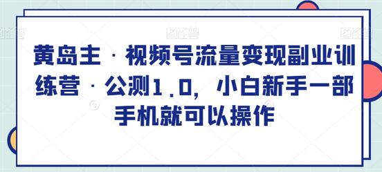 黄岛主视频号流量变现副业训练营，小白新手轻松操作-无双副业
