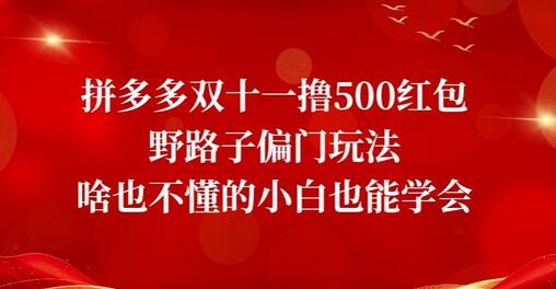 拼多多双十一红包偏门玩法，小白也能轻松上手-无双副业