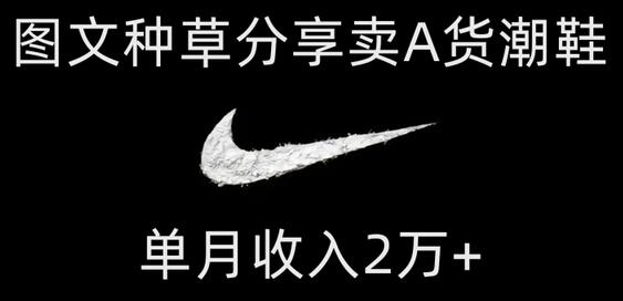 图文种草分享卖A货潮鞋，单月收入2万+-无双副业