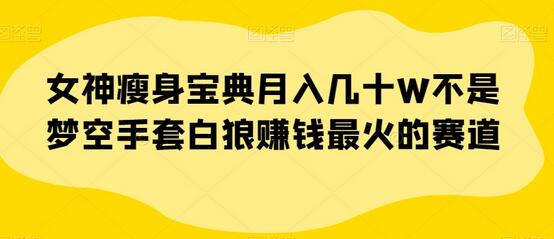 女神瘦身宝典：月入几十万的赚钱赛道-无双副业
