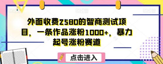 智商测试项目：一条作品涨粉1000+的暴力起号涨粉赛道-无双副业