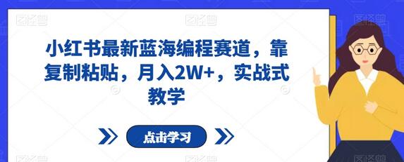 小红书蓝海编程赛道，复制粘贴月入2W+，实战教学-无双副业