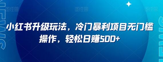 小红书冷门暴利项目无门槛操作，轻松日赚500+-无双副业