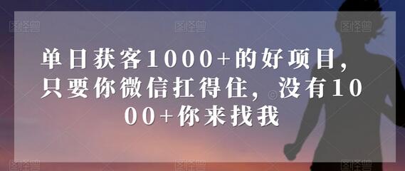 单日获客1000+的微信项目，效果惊人-无双副业
