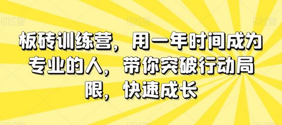 板砖训练营：一年成为专业人才，突破行动局限快速成长-无双副业