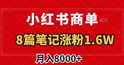 小红书商单玩法揭秘，8篇笔记涨粉1.6w，月入8000+-无双副业