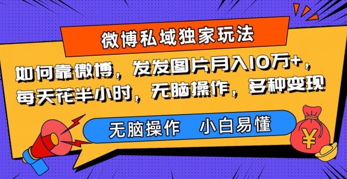 如何通过微博发图月入10万，每天半小时轻松操作-无双副业